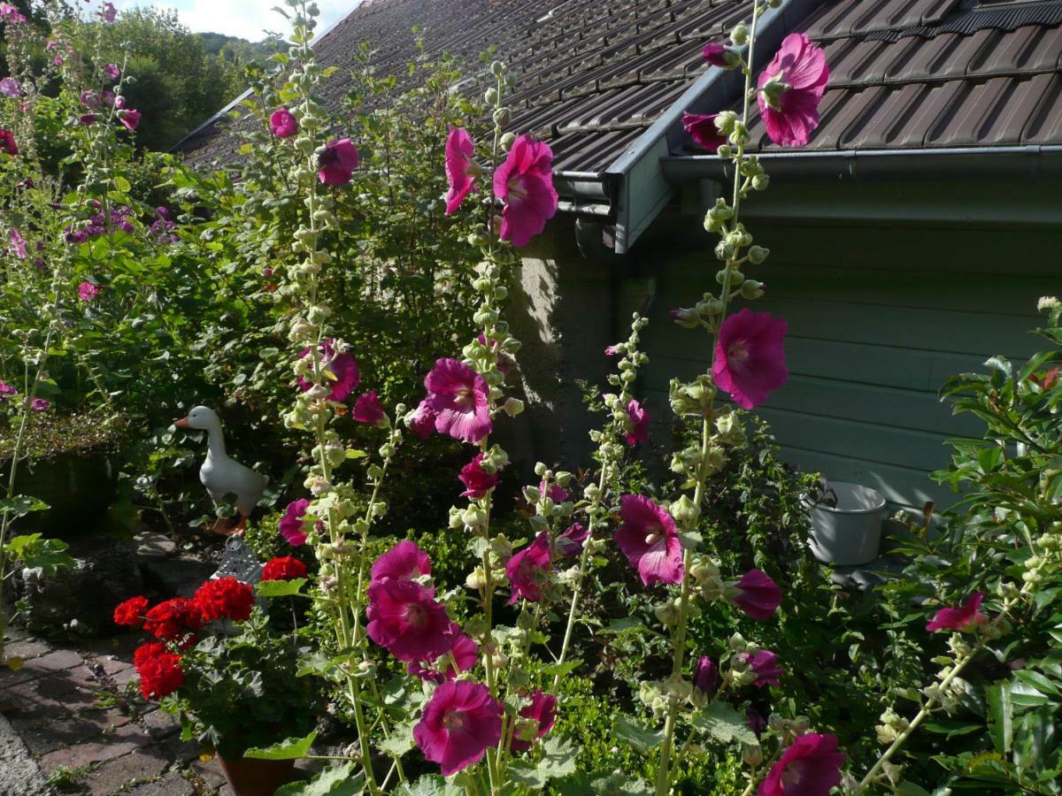 Romery  Roulotte La Dominique B&B 외부 사진